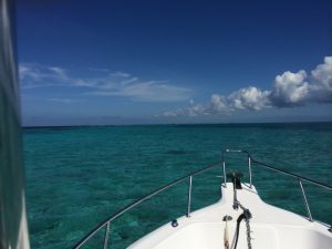 Grand Cayman Cruise Excursions