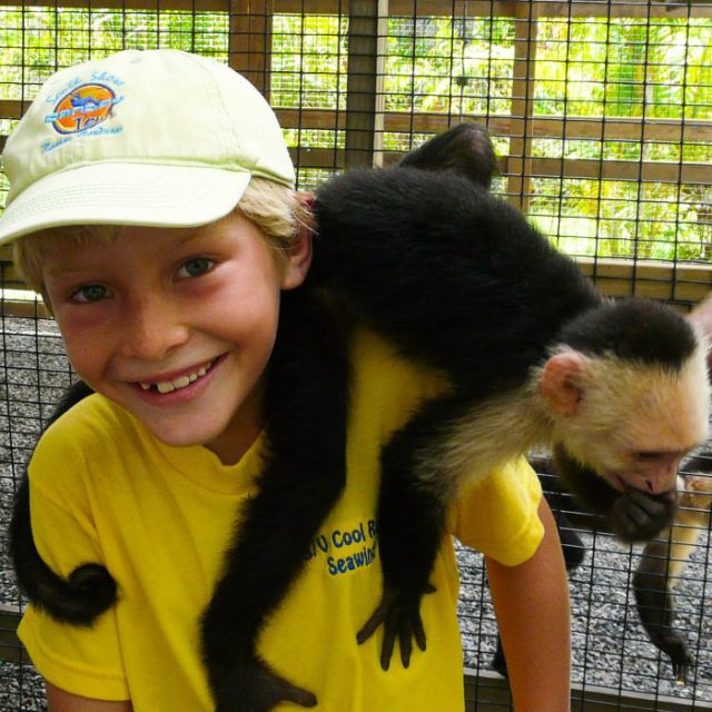 Roatan monkeys sloths